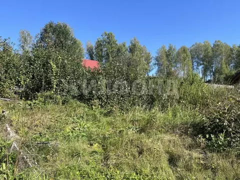 Участок в Новосибирская область, Новосибирский район, с. Плотниково  ...