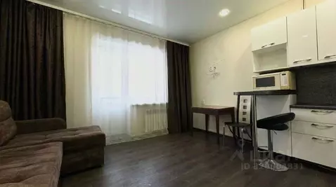 Студия Амурская область, Благовещенский район, с. Чигири Лесная ул., ...