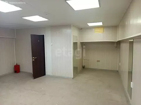 Помещение свободного назначения (260 м)