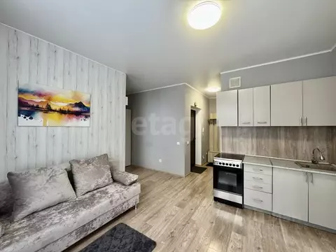 Студия Тюменская область, Тюмень Ставропольская ул., 97к1 (30.5 м)