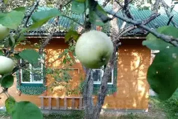 Дом в Тверская область, Селижаровский муниципальный округ, д. Шихино ...