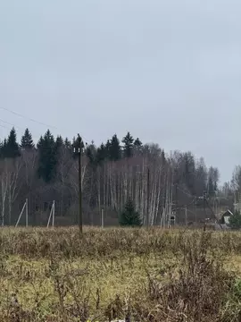 Участок в Московская область, Рузский муниципальный округ, д. ...