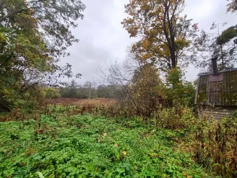 Участок в Новгородская область, пос. Батецкий  (8.0 сот.)