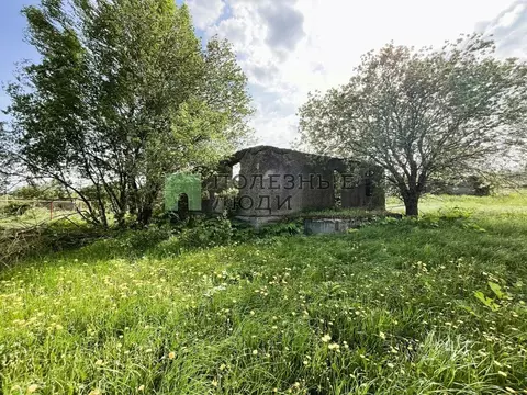 Участок в Орловская область, Знаменский район, с. Селихово Новая ул., ...