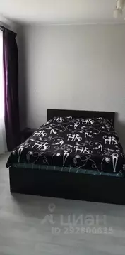 Студия Ивановская область, Фурманов ул. Демьяна Бедного, 31 (30.0 м)