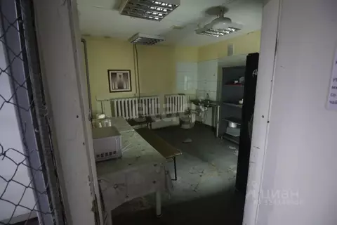 Помещение свободного назначения в Красноярский край, Красноярск ул. ...