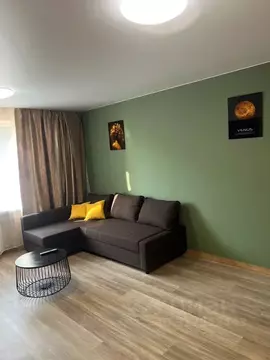 1-к кв. Приморский край, Владивосток Шилкинская ул., 6к2 (43.0 м)