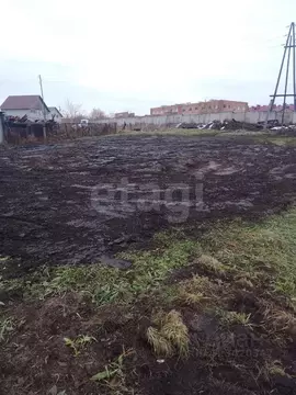 Участок в Новосибирская область, с. Новолуговое Строевая ул. (7.47 ...