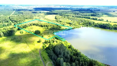 Участок в Новосибирская область, Колыванский район, с. Сидоровка  ...