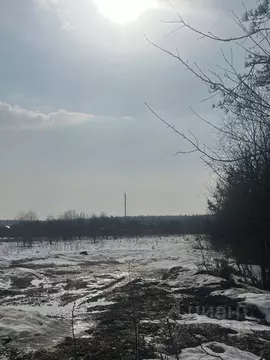 Участок в Ленинградская область, Ломоносовский район, Пениковское ...