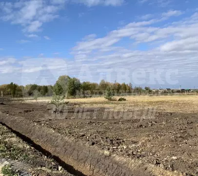 Участок в Тюменская область, Нижнетавдинский муниципальный округ, ...