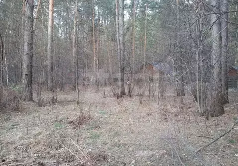 Участок в Алтай, Шебалинский район, с. Камлак  (15.0 сот.)