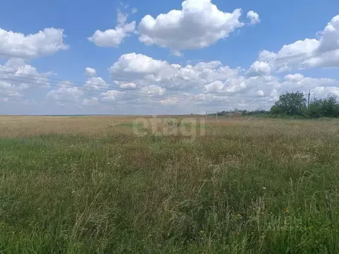 Участок в Крым, Симферополь ул. 43-я Коллективных Садов (3.0 сот.)