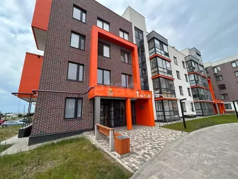 3-к кв. Белгородская область, Строитель Яковлевский городской округ, ...