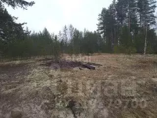 Участок в Коми, Сыктывдинский район, с. Выльгорт, Ирга СДТ  (10.0 ...