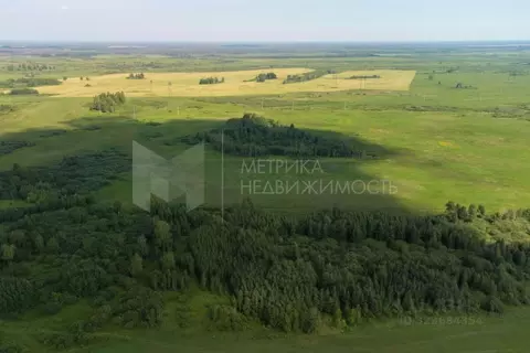 Участок в Тюменская область, Тюмень  (10.69 сот.)