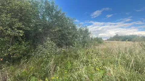 Участок в Московская область, Ступино городской округ, с. Старое  ...