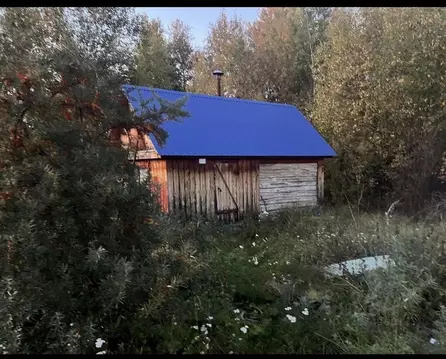 Дом в Башкортостан, Кушнаренковский район, Шариповский сельсовет, ...