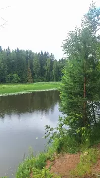 Дом в Ленинградская область, Гатчинский муниципальный округ, Вырица ...