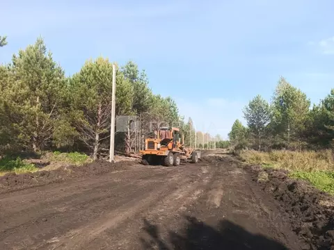 Участок в Алтайский край, Первомайский район, с. Логовское ул. Победы ...