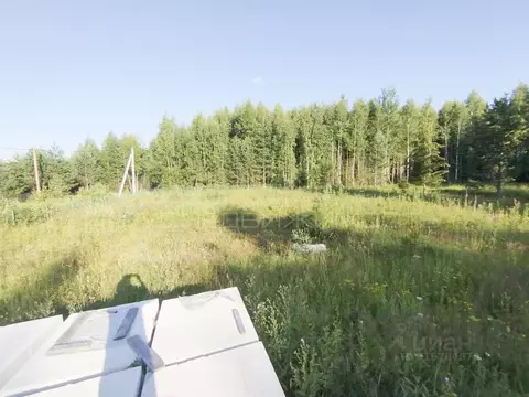Участок в Кировская область, Кирово-Чепецкий район, Пасеговское с/пос, ...