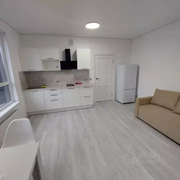 Студия Санкт-Петербург просп. Обуховской обороны, 36 (30.0 м)