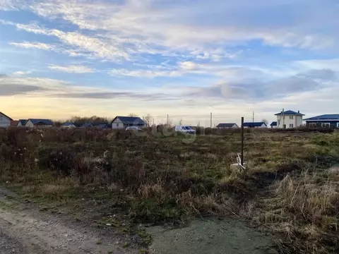 Участок в Калининградская область, Гурьевский муниципальный округ, ...