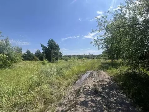 Участок в Воронежская область, Рамонский район, Айдаровское с/пос, ...