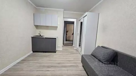 Студия Краснодарский край, Краснодар Российская ул., 130 (17.0 м)