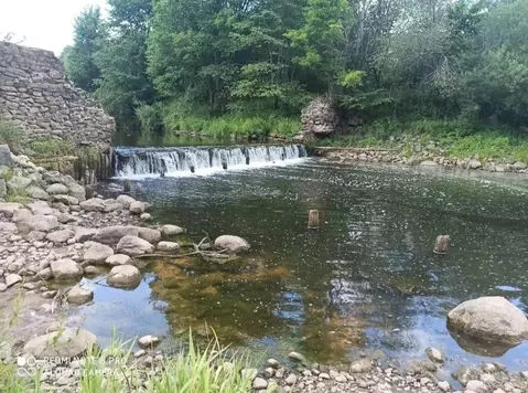 Участок в Новгородская область, Крестецкий муниципальный округ, с. ...