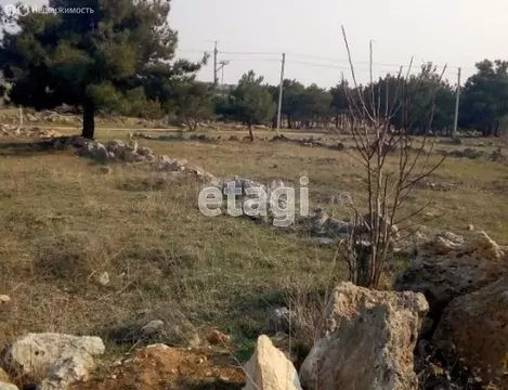 Участок в Севастополь, садоводческое товарищество Янтарь (8 м)