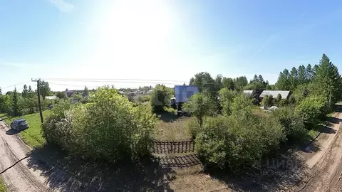 Участок в Тюменская область, Ялуторовский муниципальный округ, ...