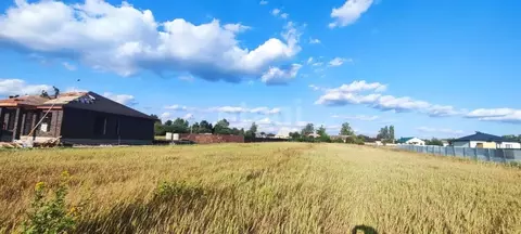 Участок в Воронежская область, Рамонский район, с. Новоживотинное ...