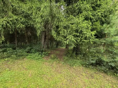 Продается участок в д. Маслово