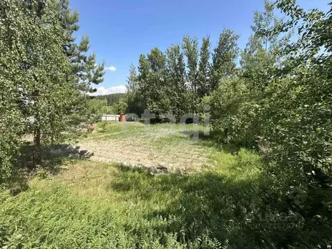 Участок в Брянская область, Брянский район, Новодарковичское с/пос, ...