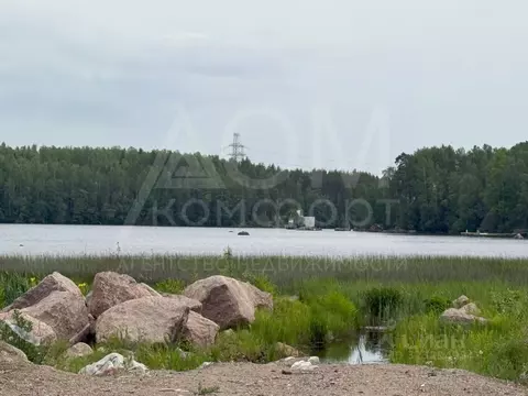 Участок в Ленинградская область, Выборг ул. Младших Командиров (10.0 ...