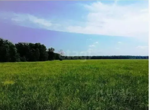 Участок в Башкортостан, Уфимский район, с. Миловка Ясная ул. (8.94 ...