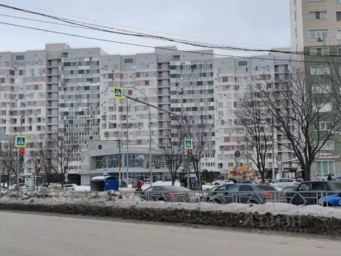 Студия Самарская область, Тольятти ул. 40 лет Победы, 43Д (26.0 м)