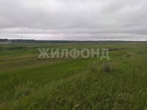 Участок в Новосибирская область, Коченевский район, Чик рп ул. Титова ...