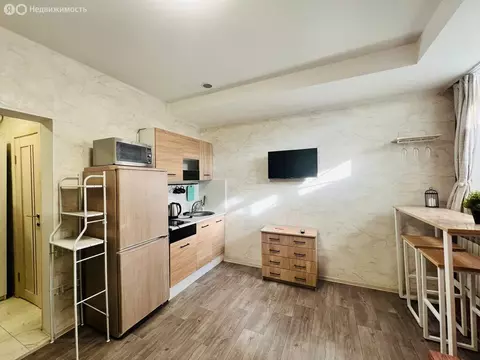 Квартира-студия: Москва, Автозаводская улица, 19к1 (25 м)