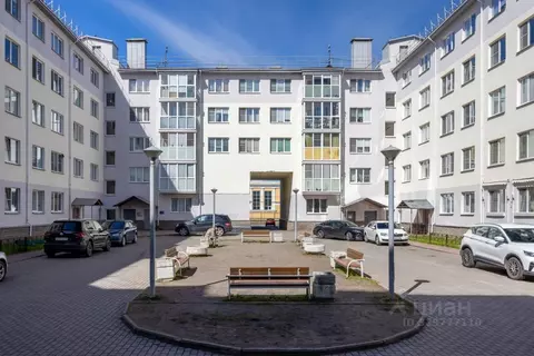 2-к кв. Санкт-Петербург, Санкт-Петербург, Петергоф Петергофская ул., 8 ...