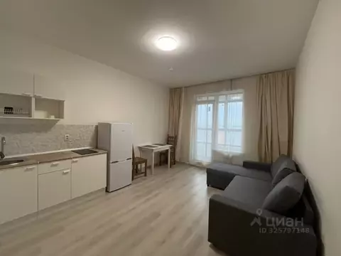 Студия Санкт-Петербург ул. Русановская, 20к3 (23.7 м)