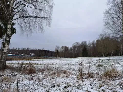 Участок в Московская область, Можайский муниципальный округ, с. ...