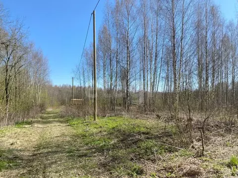 Участок в Вологодская область, Череповецкий район, Югское ...