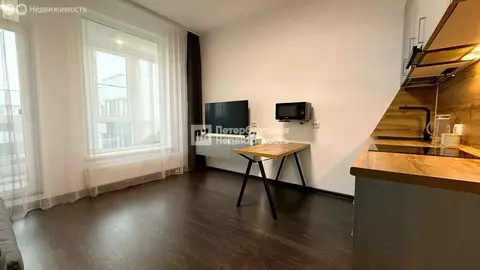 Квартира-студия: Санкт-Петербург, Новосергиевская улица, 3 (24.5 м)