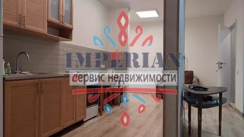 Студия Белгородская область, Шебекино ул. Есенина, 1А (34.2 м)