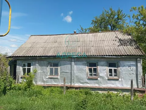 Дом в Белгородская область, Чернянский район, Кочегуренское с/пос, с. ...