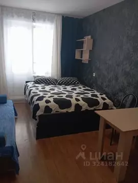 Студия Новосибирская область, Новосибирск ул. Петухова, 101 (20.0 м)