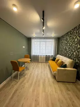 1-к кв. Татарстан, Казань ул. Белинского, 27 (18.5 м)