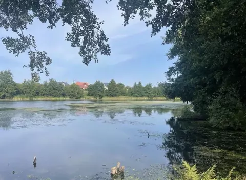 Участок в Калининградская область, Пионерский Заозерная ул. (11.0 ...